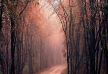 九游会:年美加墨世界杯亚洲区预选赛 中国vs澳大利亚 首发名单.