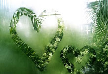 30秒接力跳出206次!广东选手创跳绳双摇接力世界纪录央视体育.