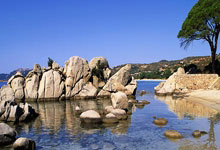 杰伦-格林单赛季多次获得周最佳 自19-20赛季哈登后火箭首人!.